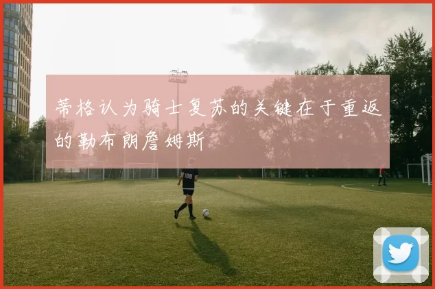 蒂格认为骑士复苏的关键在于重返的勒布朗詹姆斯